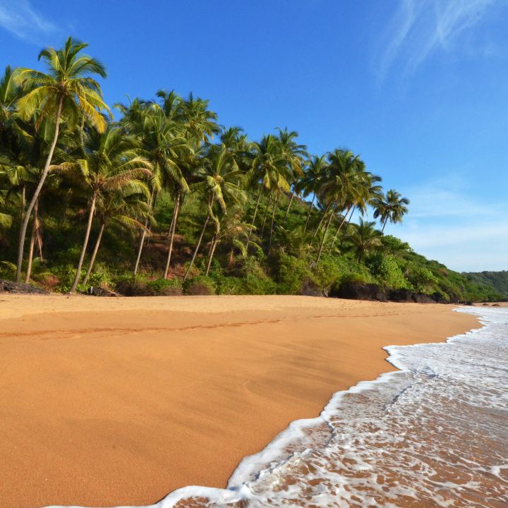 Luxury Resorts In Goa & All Inclusive Holidays