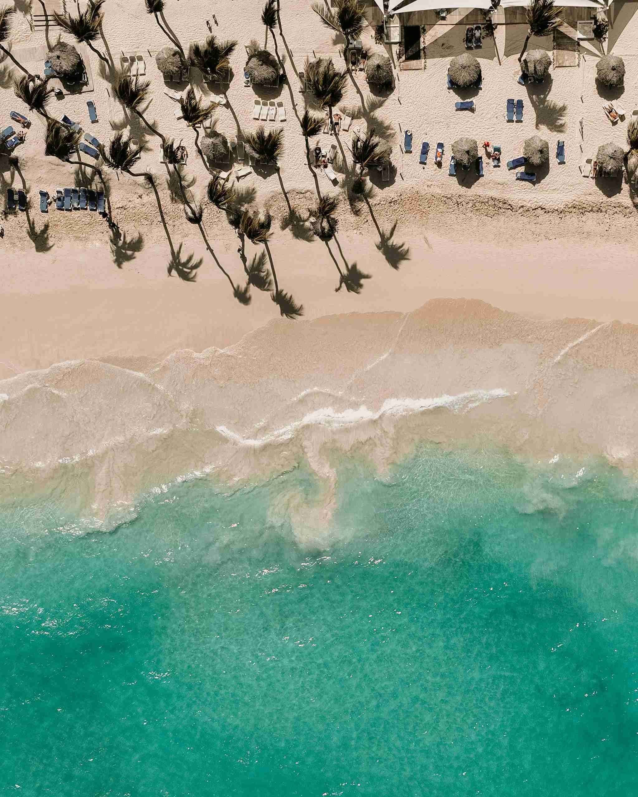 Stunning aerial view of a tropical beach with turquoise water and palm trees.